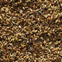 close-up-bunch-seeds_9493-76164