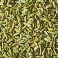fennel-seeds-filled-background_1079150-63980