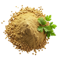 pile-coriander-powder-top-view-isolated-transparent-background_220739-121448__1_-removebg-preview