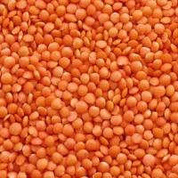 red-masoor-dal-500x500-1